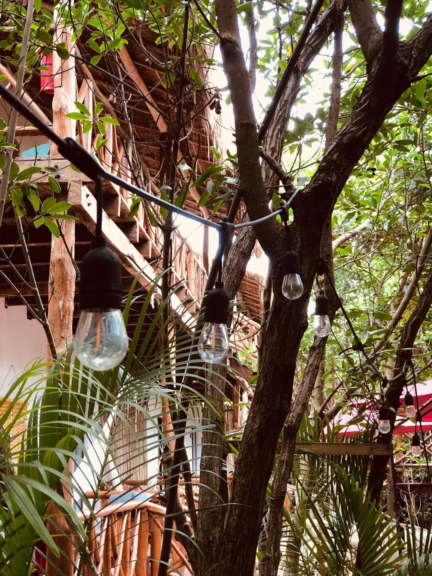 Cabanas Tulum - Aldea Mangle & Cenote Extérieur photo