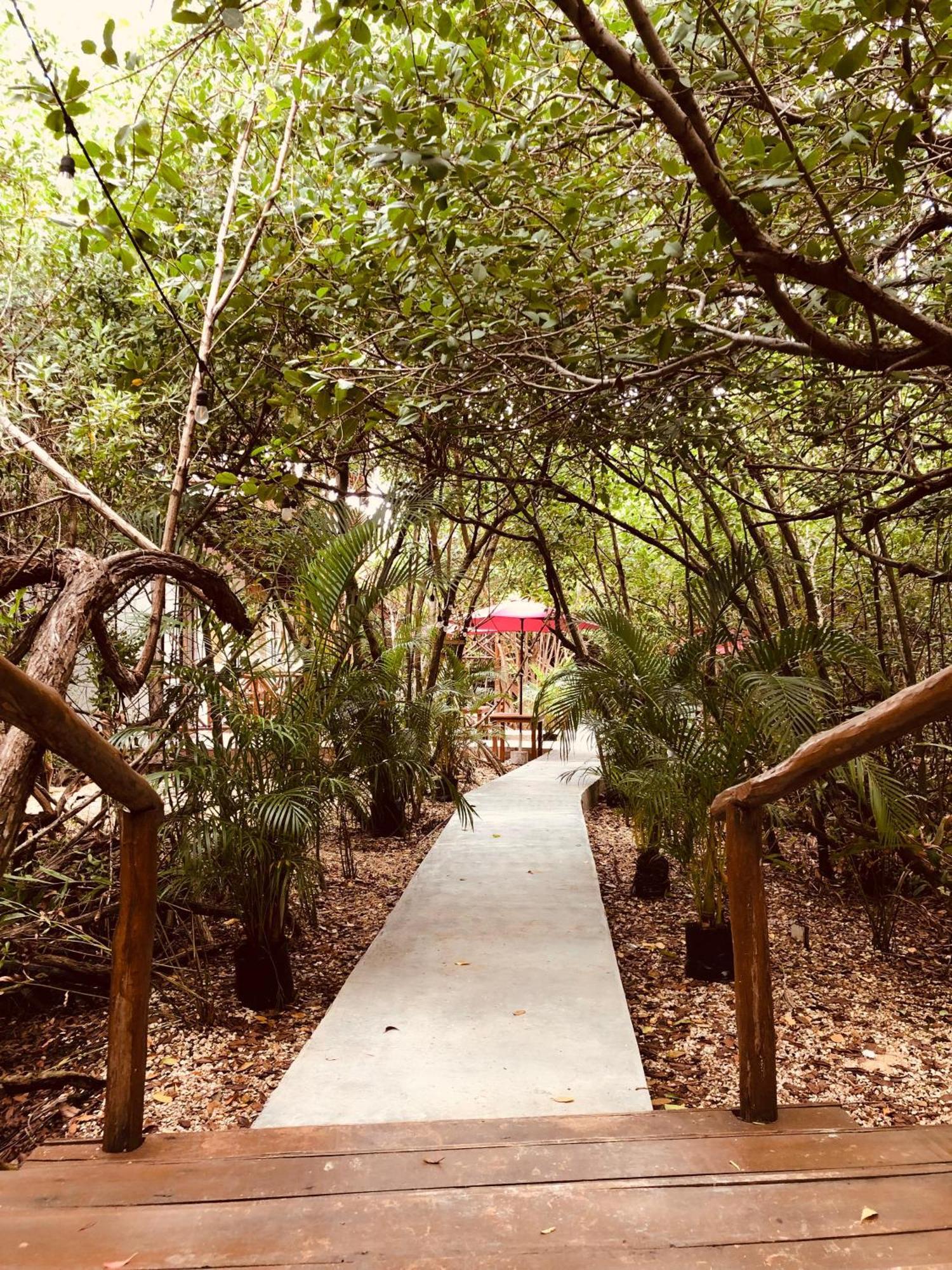 Cabanas Tulum - Aldea Mangle & Cenote Extérieur photo