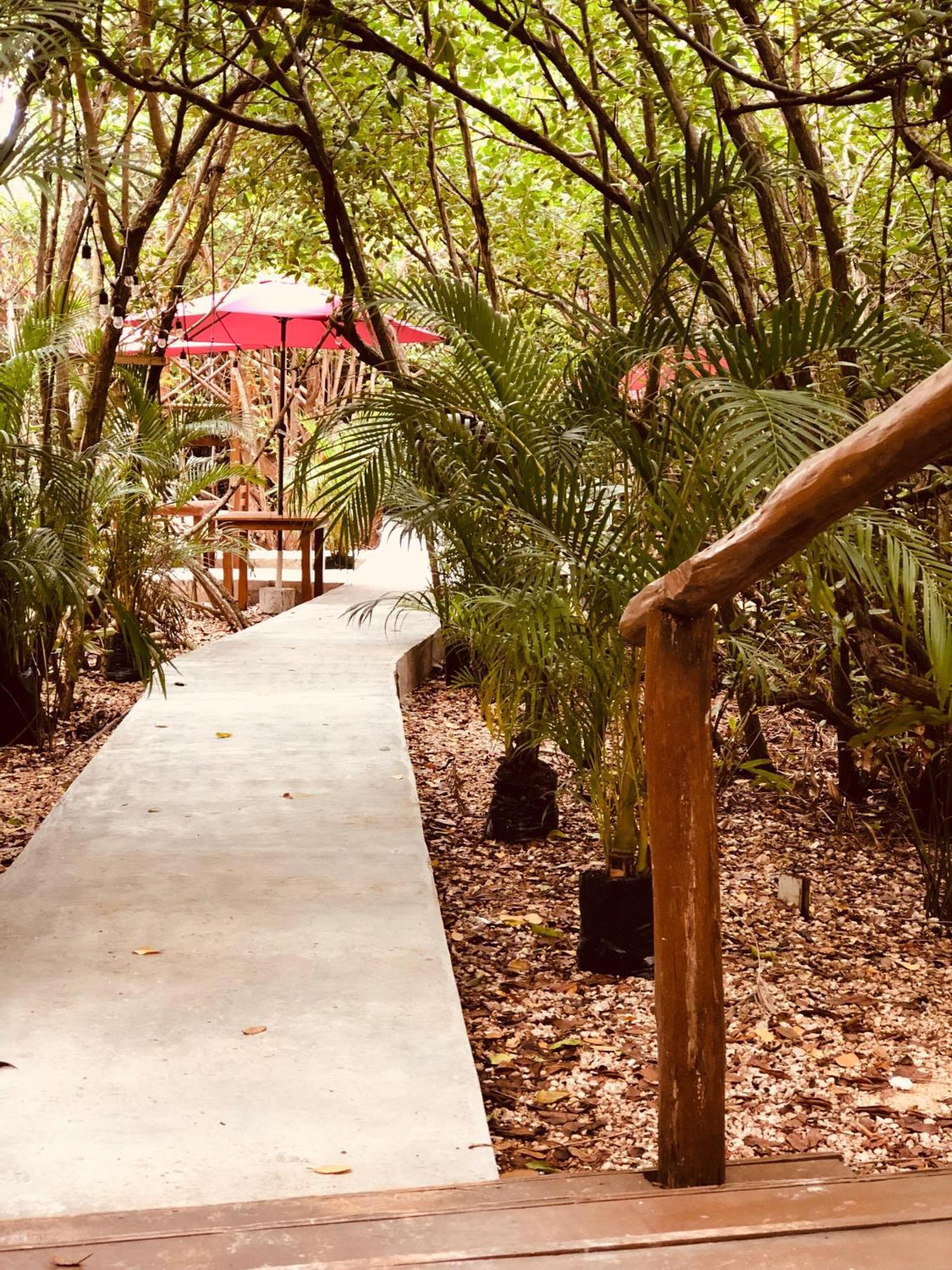 Cabanas Tulum - Aldea Mangle & Cenote Extérieur photo