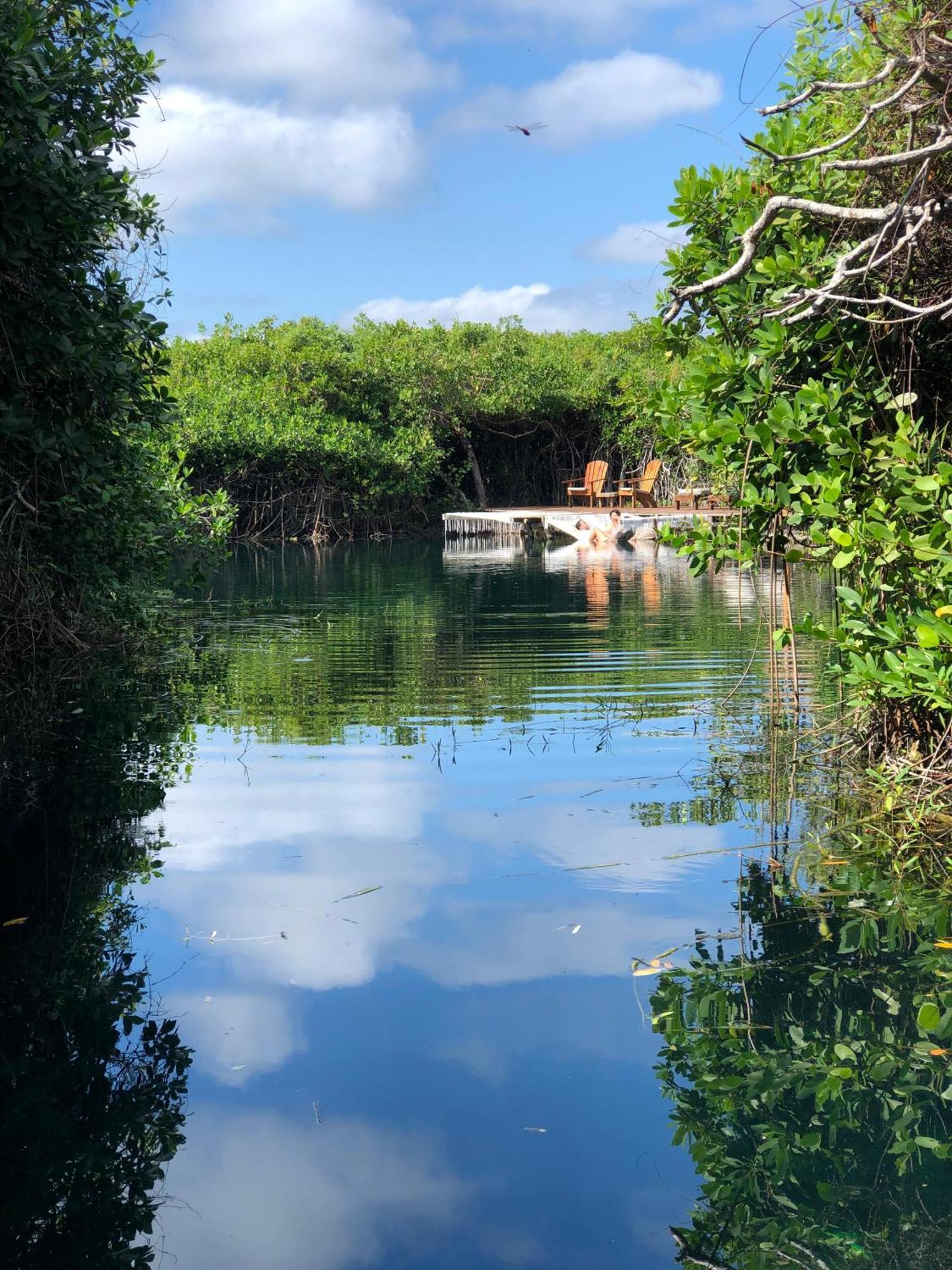 Cabanas Tulum - Aldea Mangle & Cenote Extérieur photo