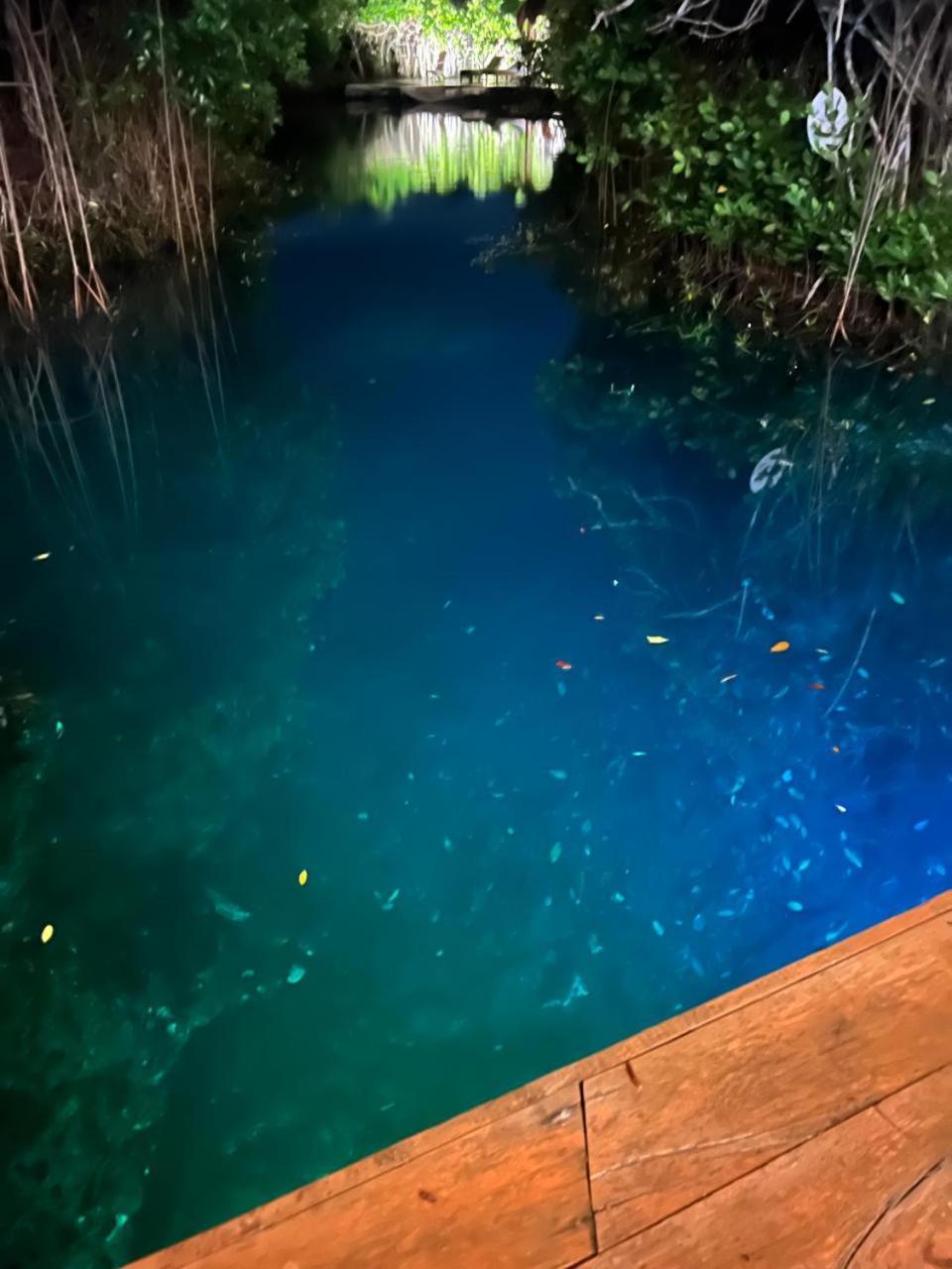 Cabanas Tulum - Aldea Mangle & Cenote Extérieur photo