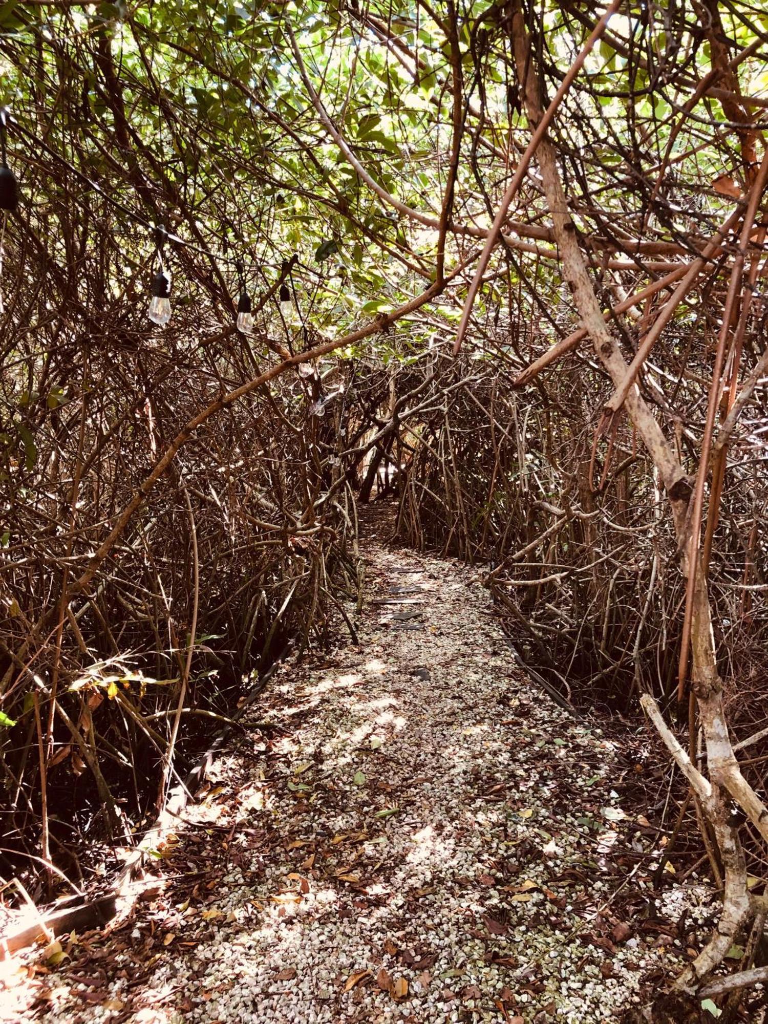 Cabanas Tulum - Aldea Mangle & Cenote Extérieur photo