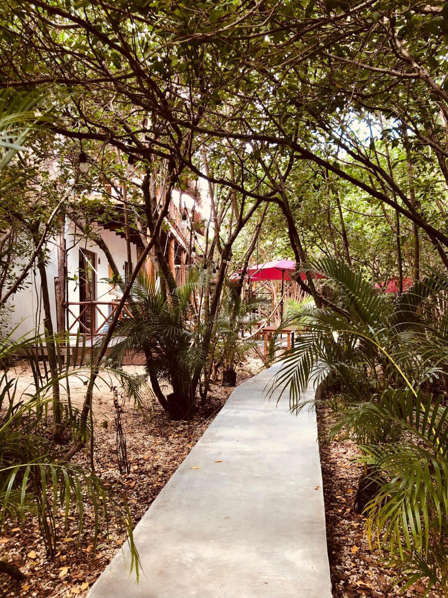 Cabanas Tulum - Aldea Mangle & Cenote Extérieur photo