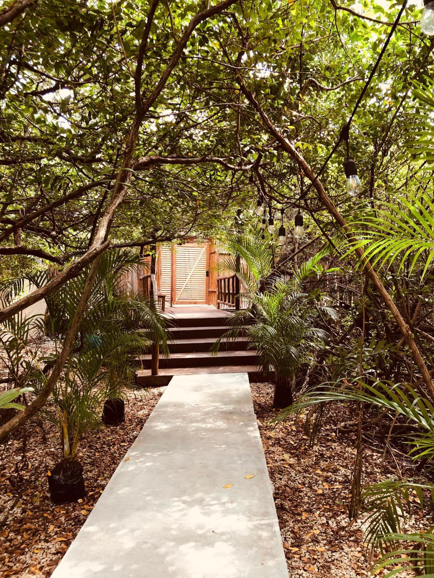 Cabanas Tulum - Aldea Mangle & Cenote Extérieur photo