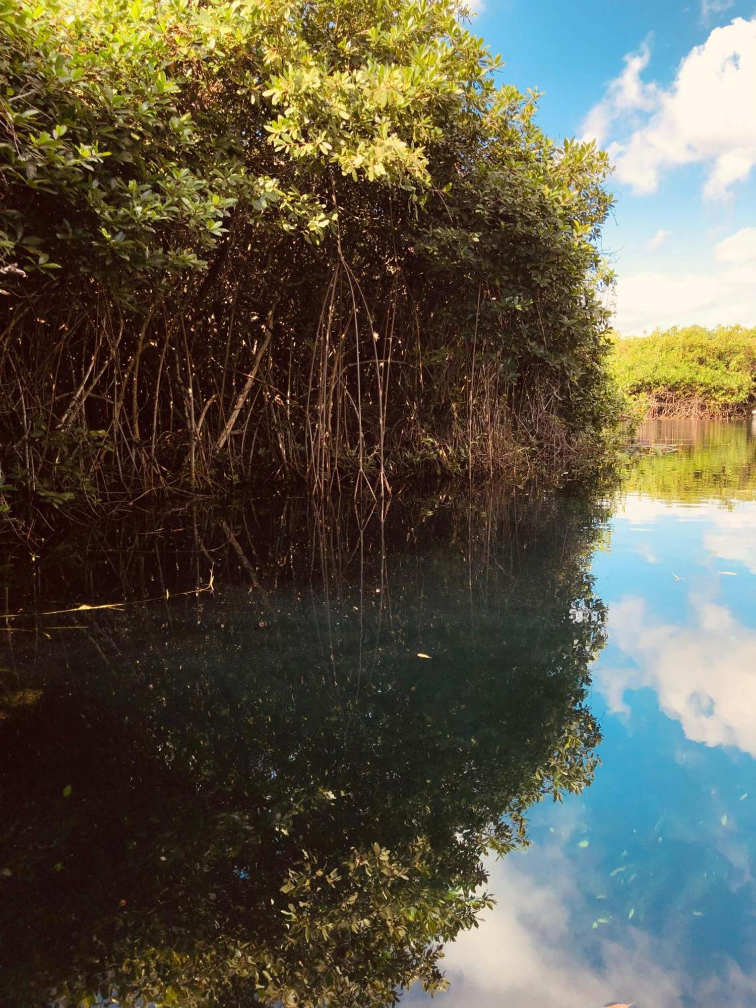 Cabanas Tulum - Aldea Mangle & Cenote Extérieur photo