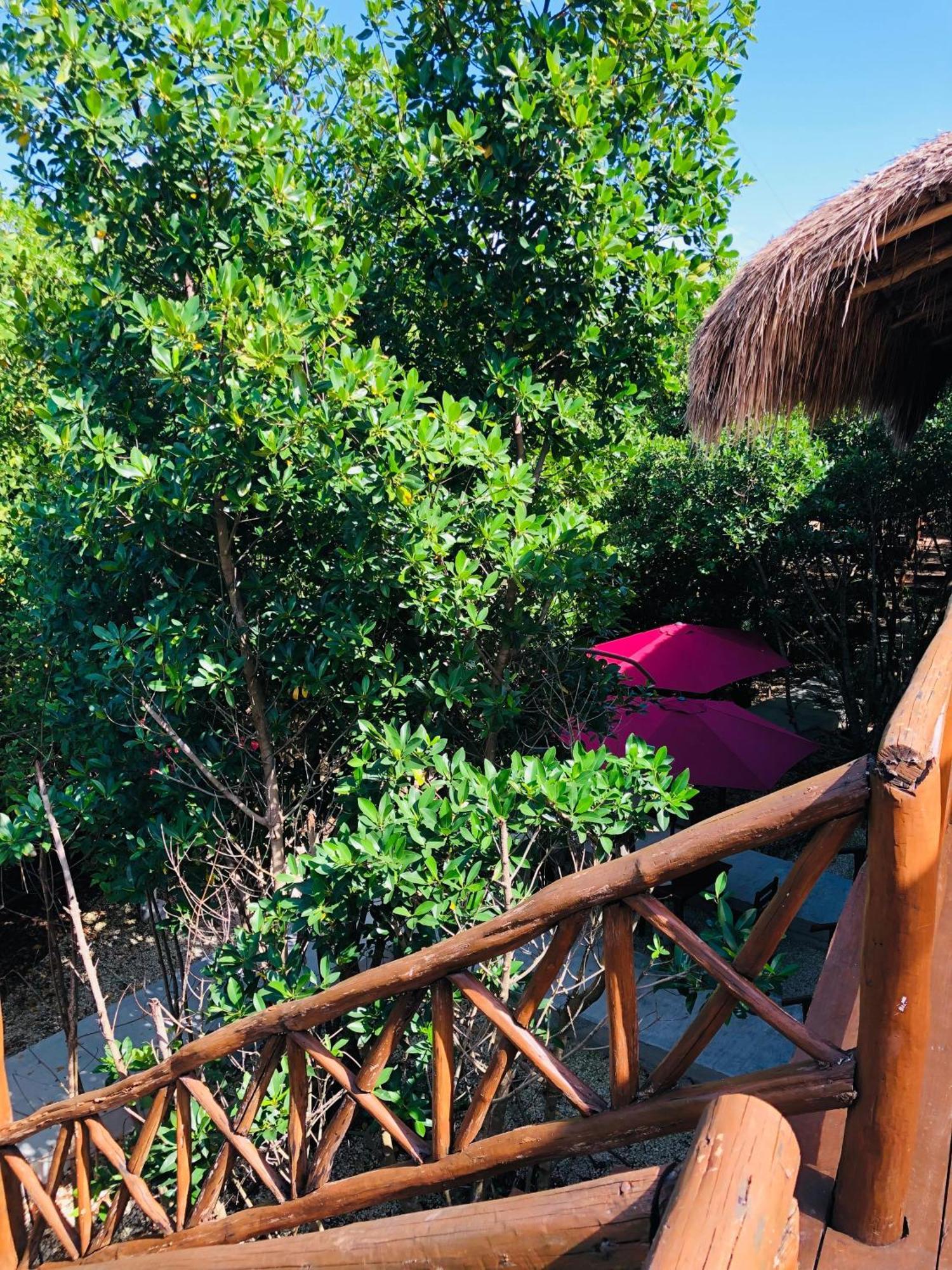 Cabanas Tulum - Aldea Mangle & Cenote Extérieur photo